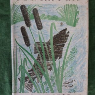 1948 A Trout Rose